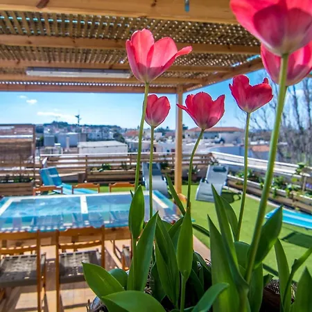 Roof Garden- Floor *